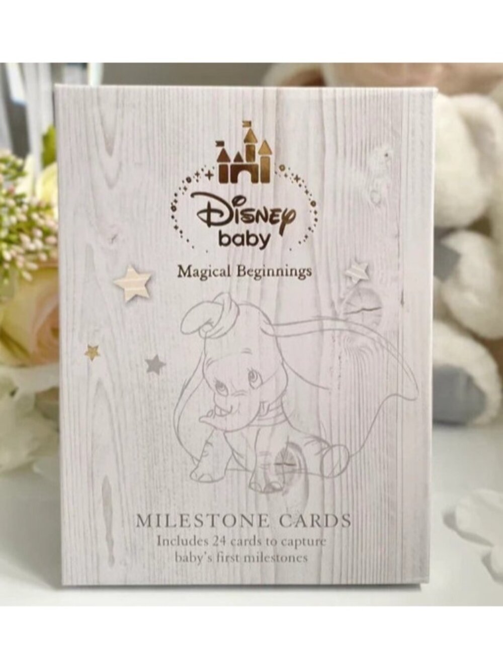 Disney Dumbo Developmental Milestone Cards Gift Set Baby Shower Nursery